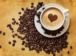 cafe.jpg