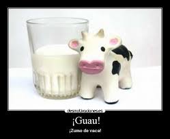 zumo de vaca.jpg