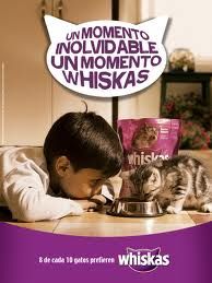 momento whiskas.jpg