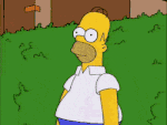 homer dudoso.gif