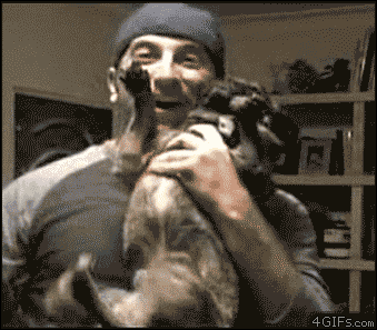 perro meon.gif
