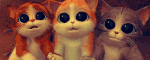 ojitos gatitos.gif