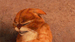 gatos con botas.gif