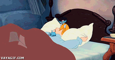 dormir2.gif