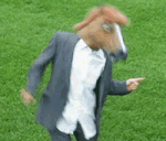 caballo loco