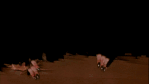 HOLA.gif