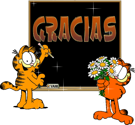 gato-1.gif