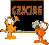 gato-1.gif