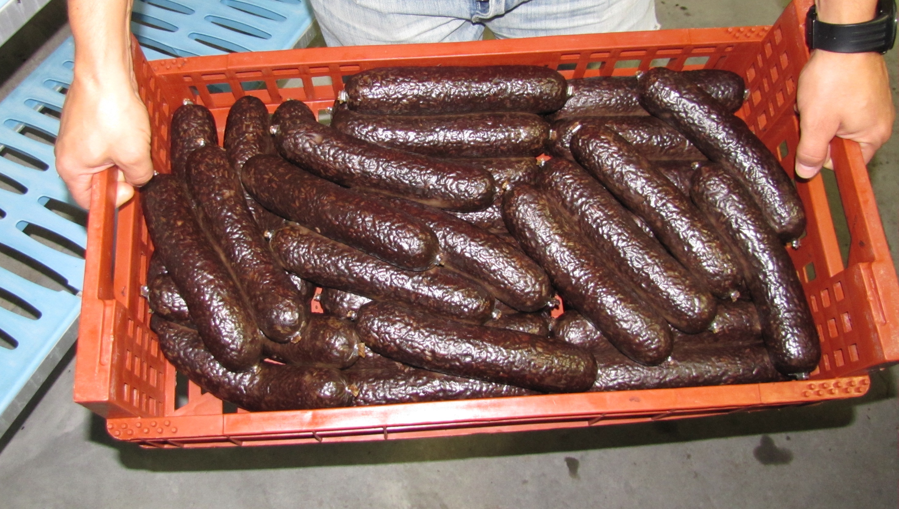 Morcilla_de_Aranda_-_Morcilla_de_Burgos_2.JPG