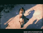 burro.gif