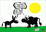 gracias-burro-e1280567309790.gif