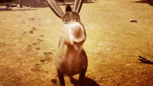 burro-shrek.gif