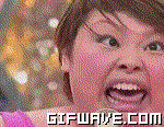tolok.gif
