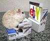 hamster