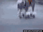 perro-en-patineta-o.gif