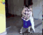 perroviolon-o.gif