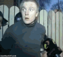 http://cdn.themetapicture.com/media/funny-gif-guy-disoriented-microphone.gif