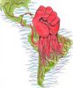 http://3.bp.blogspot.com/-TsT8Dg029SA/Tcke4xc2dsI/AAAAAAAAABk/GQTPd0-jmxU/s1600/36880_america-latina-revolucion%255B1%255D.jpg