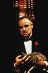 godfather-the-1972-001-marlon-brando-with-cat-00m-mbv.jpg