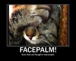 facepalm