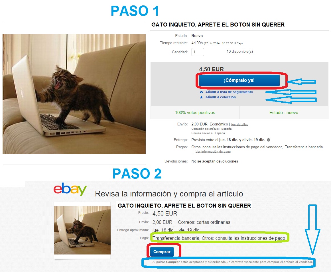 GATO COMPRANDO.jpg