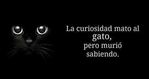 la_curiosidad_mato_al_gato__pero_murio_sabiendo.jpg