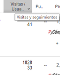 visitas seguimientos.png