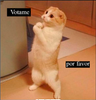 Votame.png