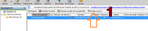 sel plantilla.png