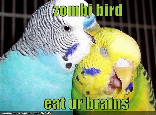 zombibird.jpg
