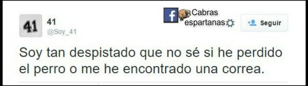 twitter-despistado-600x168.jpg