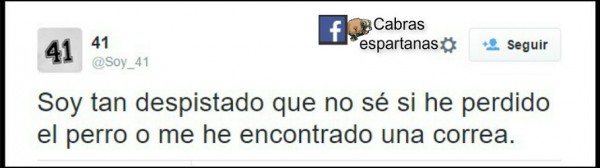 twitter-despistado-600x168.jpg