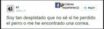 twitter-despistado-600x168.jpg