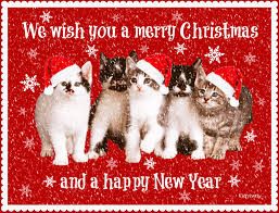merrycat.jpg