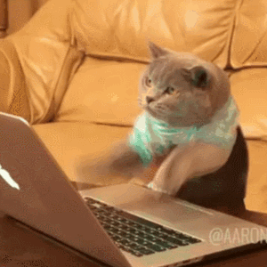 original.gif