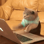 original.gif