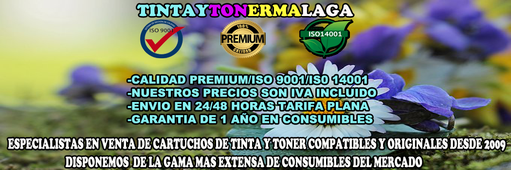 LOGO-CARTUCHO-DE-TINTA-Y-TONER-BARATO-TINTAYTONERMALAGA.png