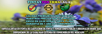 LOGO-CARTUCHO-DE-TINTA-Y-TONER-BARATO-TINTAYTONERMALAGA.png