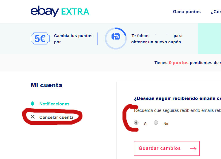 ebay-extra.jpg