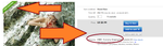 freeship.png