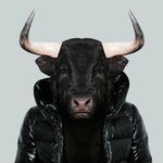 toro persona.jpg