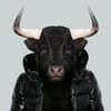 toro persona.jpg