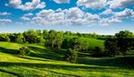 paisaje_247_20120207_1848596469.jpg