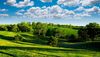 paisaje_247_20120207_1848596469.jpg